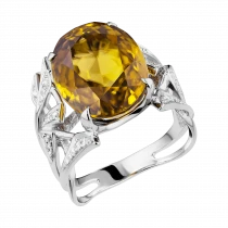 Кольцо «Арк эмоций» Кольцо «Арк эмоций»