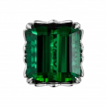 Кольцо «Гимн природной энергии» Кольцо «Гимн природной энергии»