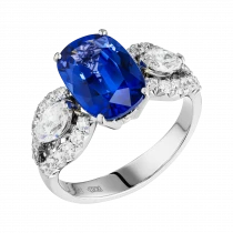 Кольцо «Эстетика аристократии» Кольцо «Эстетика аристократии»